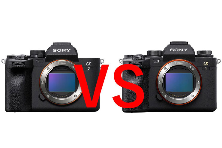 SONY α7CR レビュー× 鹿野貴司|コンパクトボディに高性能を凝縮 SONY α7CR レビュー× 鹿野貴司|コンパクトボディに高性能を凝縮