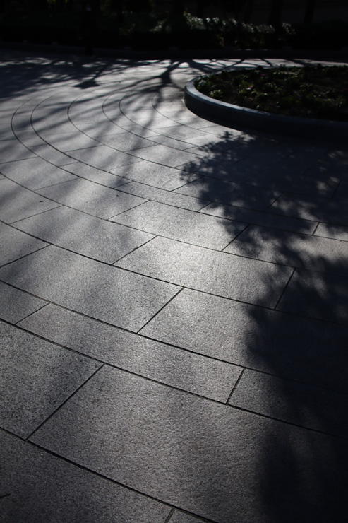 Canon(キヤノン) EF-M22mm F2 STM 実写レビュー Canon(キヤノン) EF-M22mm F2 STM 実写レビュー