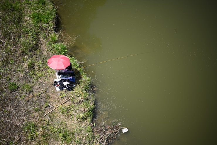 Voigtlander（フォクトレンダー）APO-LANTHAR 50mm F2 Aspherical ニコンZ 実写レビュー一覧用画像