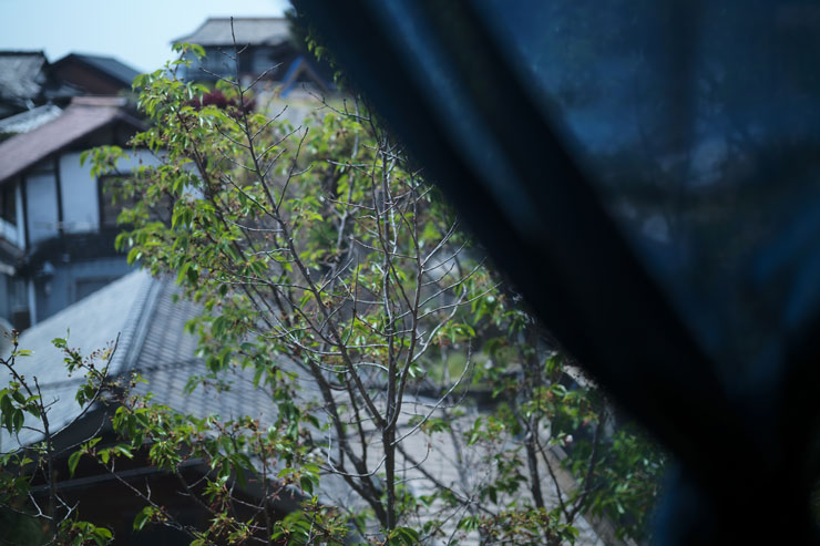 Leica（ライカ）M11 作例3