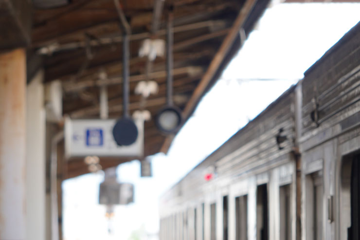 SONY（ソニー） FE 24-70mm F2.8 GM II フリンジ作例拡大