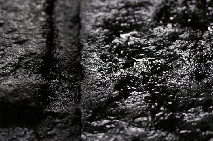 Voigtlander（フォクトレンダー）MACRO APO-ULTRON 35mm F2 X-mount 解像感作例拡大