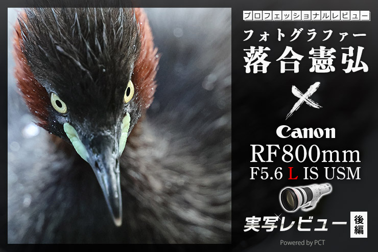 Canon RF800mm F5.6 L IS USM レビュー 【 後編 】× 落合憲弘 | 最旬キヤノン超望遠RFレンズを味わい尽くせ！一覧用画像