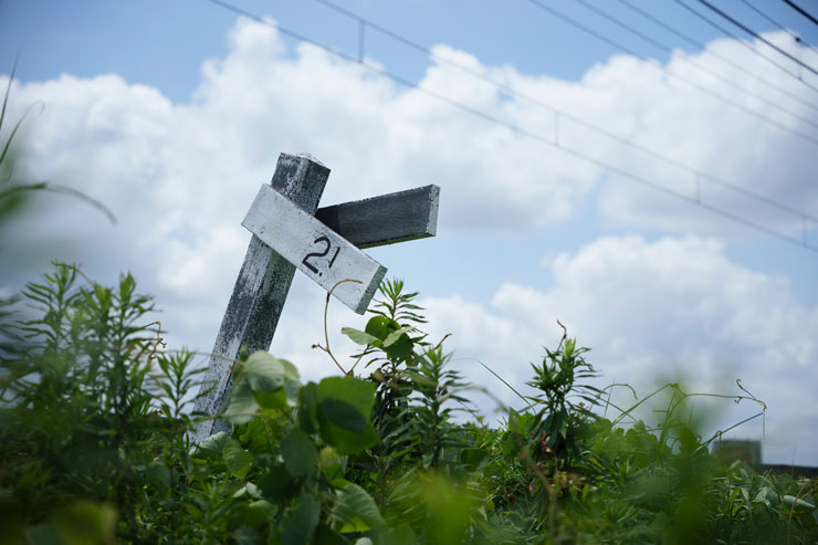 SONY（ソニー） FE 24-70mm F2.8 GM II 作例3