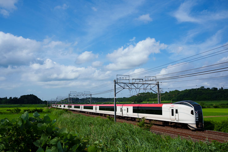 SONY（ソニー） FE 24-70mm F2.8 GM II 作例4