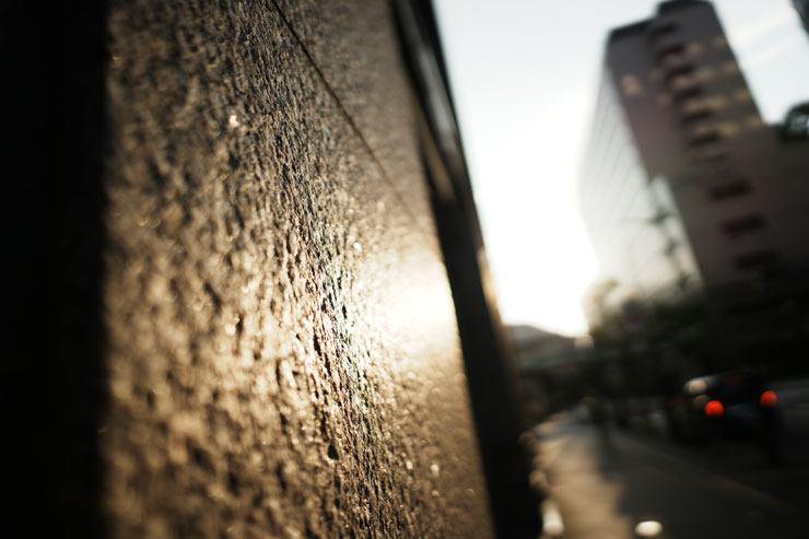 SIGMA（シグマ） 24mm F1.4 DG DN | Art フリンジ作例拡大