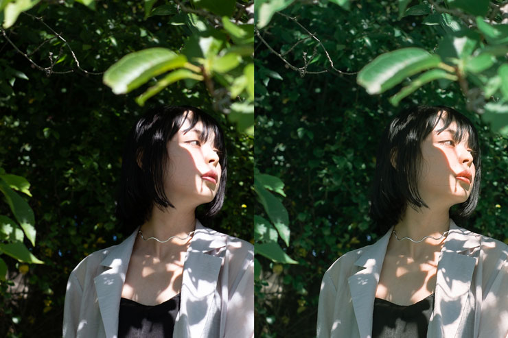 FUJIFILM（富士フイルム）X-H2S 作例6