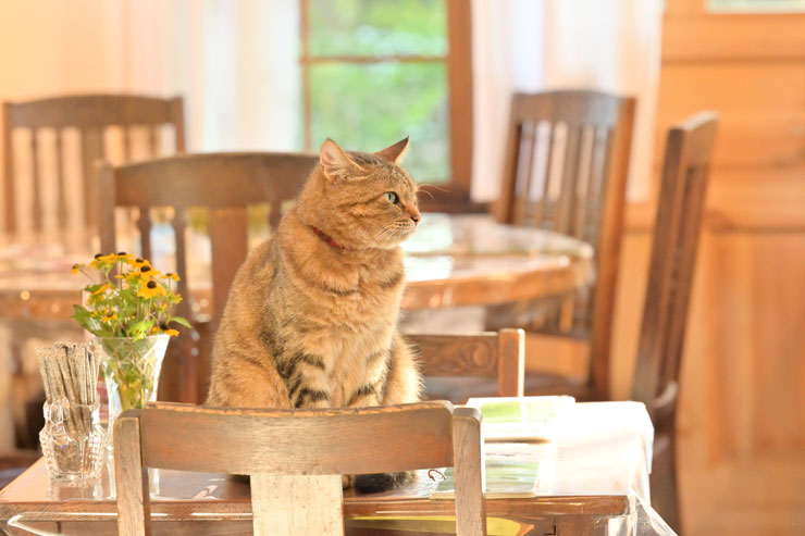 Nikon（ニコン）Z 30 作例2