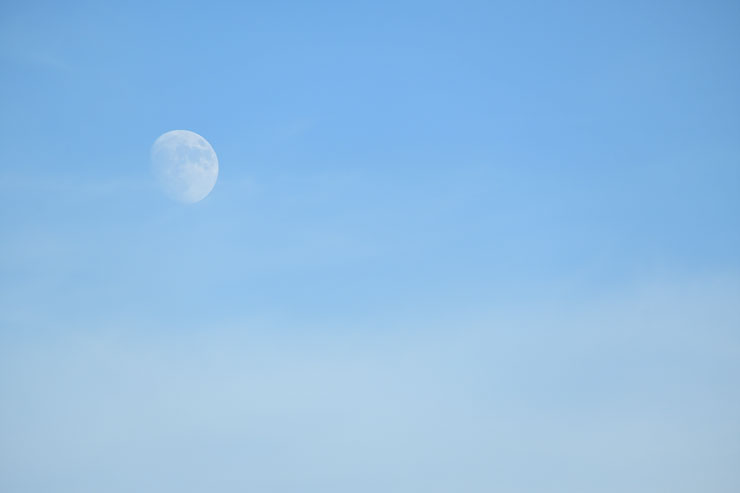 Nikon（ニコン）Z 30 作例4