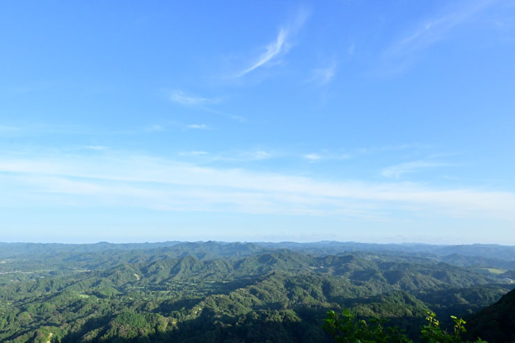 Nikon（ニコン）Z 30 作例6