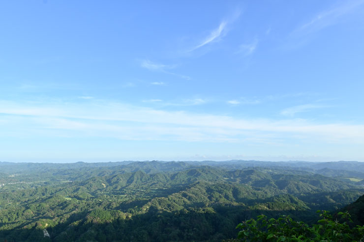 Nikon（ニコン）Z 50 作例7