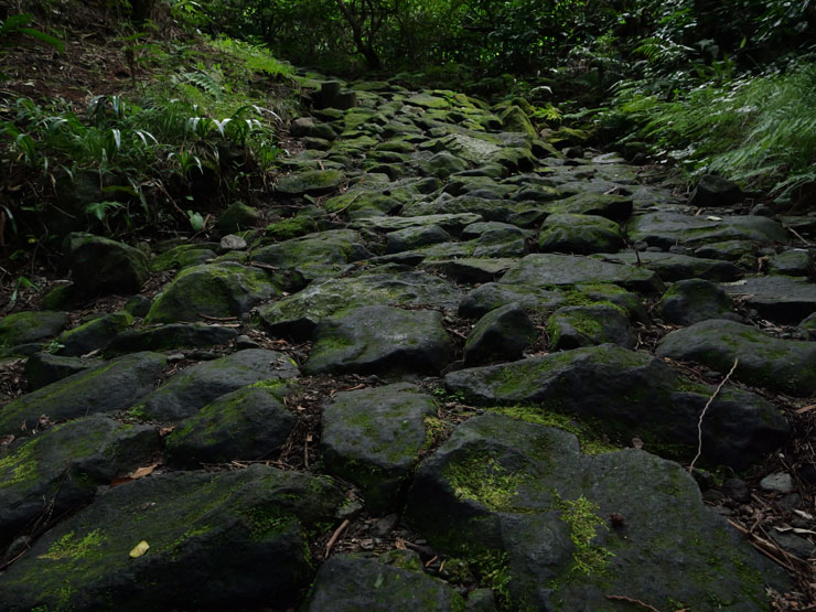 Panasonic（パナソニック）LUMIX（ルミックス）GH6 作例14