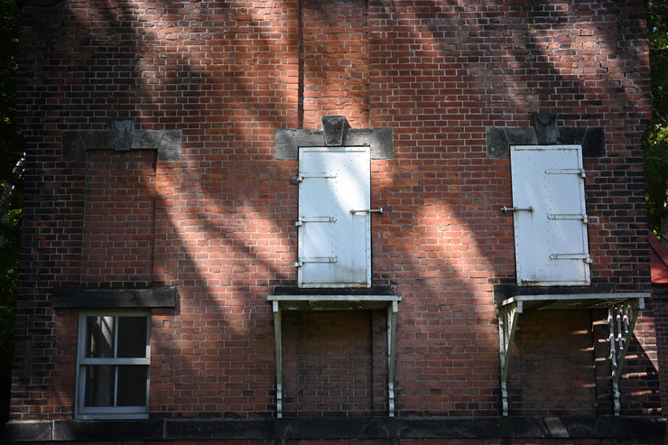 Voigtländer（フォクトレンダー）APO-LANTHAR（アポランター） 50mm F2 Aspherical Z-mount 作例1