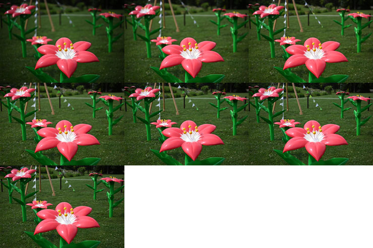 Voigtländer（フォクトレンダー）APO-LANTHAR（アポランター） 50mm F2 Aspherical Z-mount 作例2