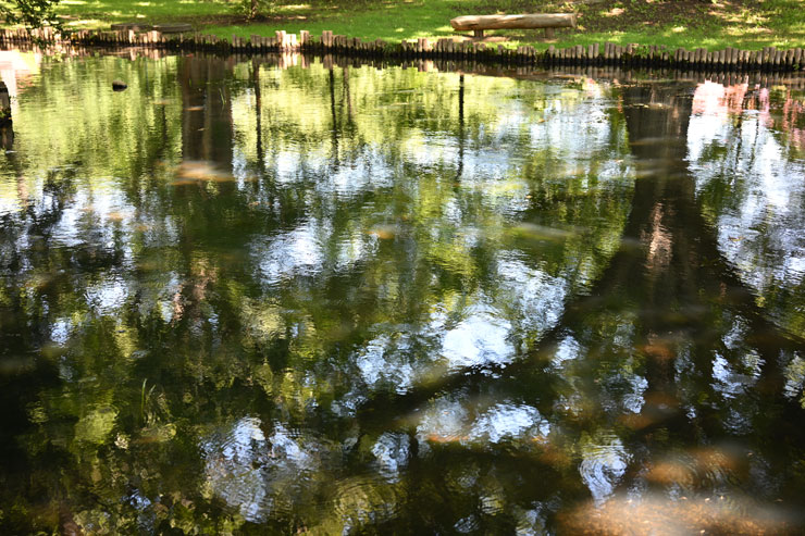 Voigtländer（フォクトレンダー）APO-LANTHAR（アポランター） 50mm F2 Aspherical Z-mount 作例6