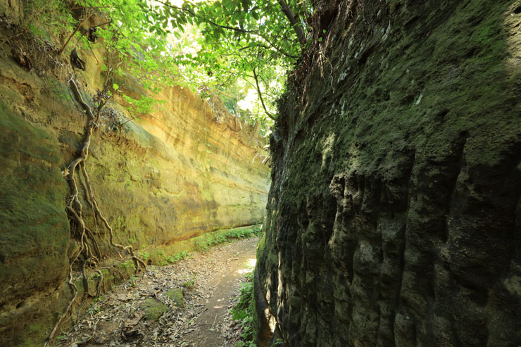 Canon（キヤノン）RF15-30mm F4.5-6.3 IS STM 作例1
