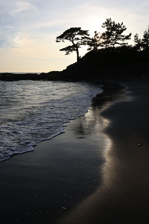 Canon（キヤノン）RF15-30mm F4.5-6.3 IS STM 作例8