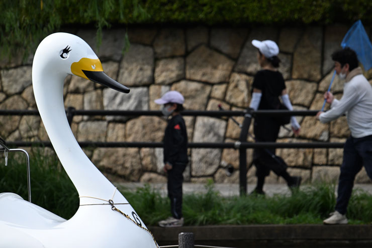 Nikon（ニコン）NIKKOR Z 400mm F/4.5 VR S 作例13