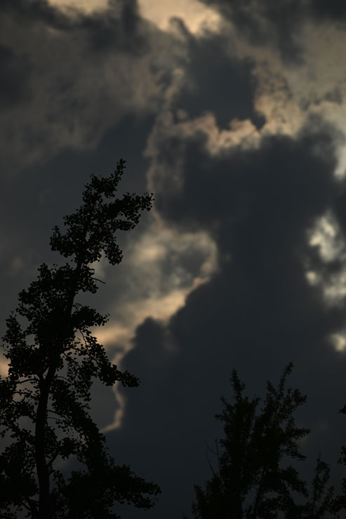 Nikon（ニコン）NIKKOR Z 400mm F/4.5 VR S 作例6