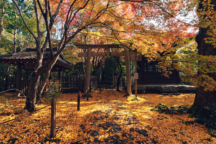 紅葉の撮り方 作例1