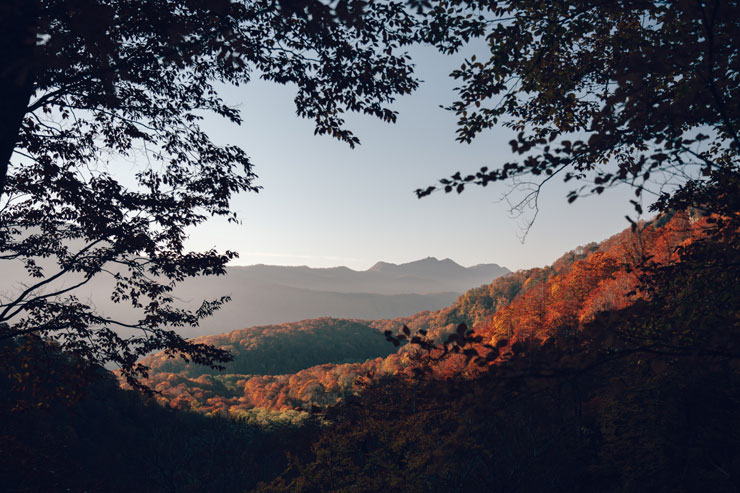 紅葉登山のおすすめスポットで撮り方のコツを解説　作例7