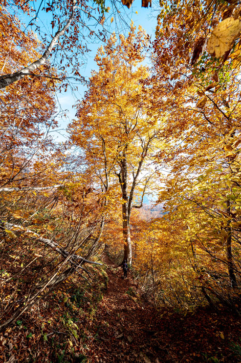 紅葉登山のおすすめスポットで撮り方のコツを解説　作例9