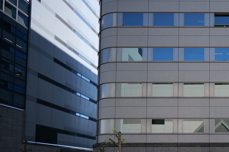 Panasonic（パナソニック）LUMIX S 18mm F1.8 S 周辺部画質作例拡大