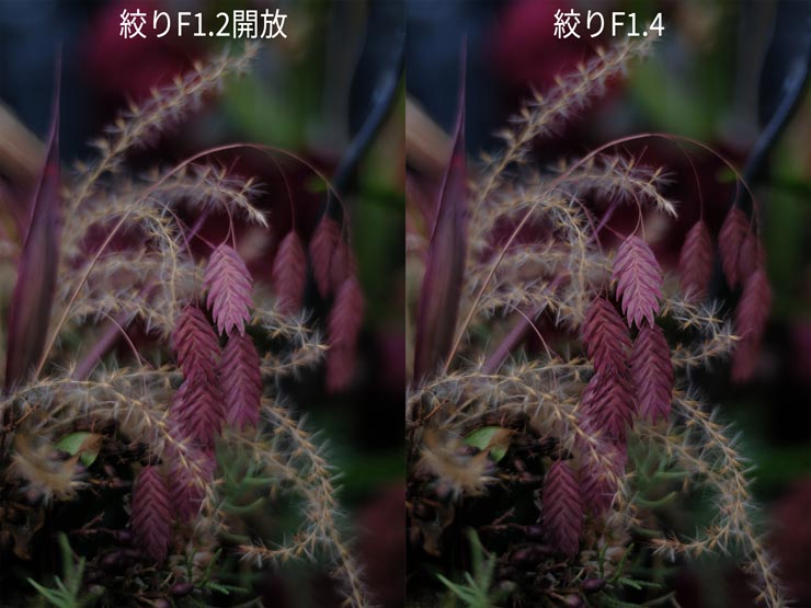 カメラFUJIFILM X-Pro3・レンズVoigtlander NOKTON 35mm F1.2 X-mount・絞り比較作例画像