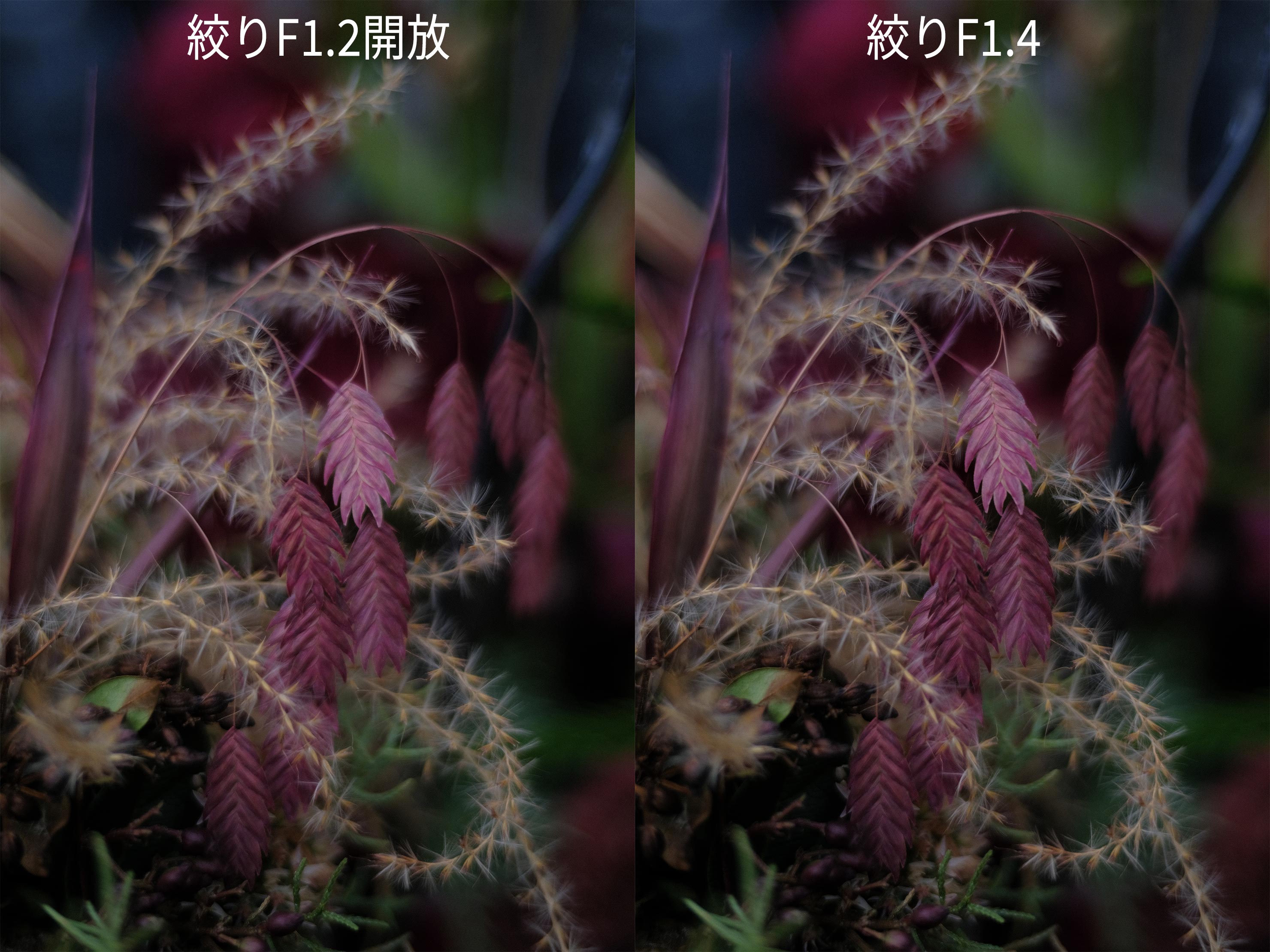 Voigtlander NOKTON 35mm F1.2 X-mount レビュー × 内田ユキオ Voigtlander NOKTON 35mm F1.2 X-mount レビュー × 内田ユキオ
