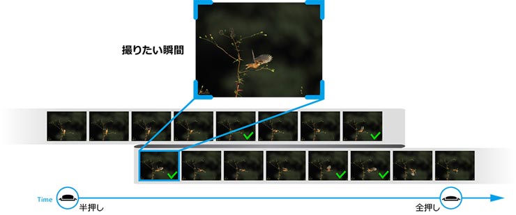 プロキャプチャーイメージ