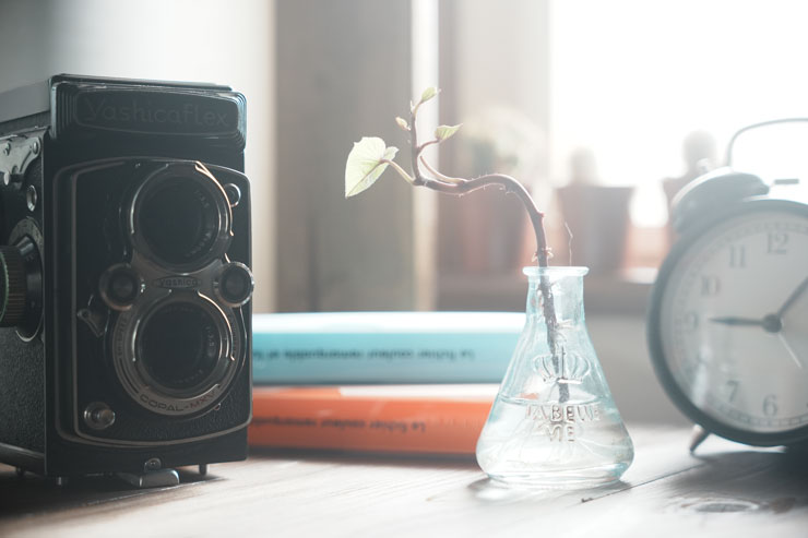 話題の Kenko ホワイトミスト No.1フィルター をレビュー | 特徴・効果・使い方のコツ一覧用画像