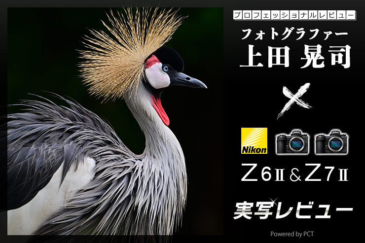 Nikon Z 7II & Z 6II 比較レビュー×フォトグラファー上田晃司 Nikon Z 7II & Z 6II 比較レビュー×フォトグラファー上田晃司