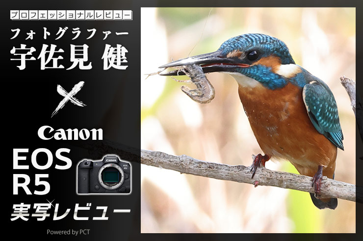 Canon EOS R5レビュー× 宇佐見 健｜小三元系ズームレンズで試す高画素番長EOS R5の真の実力一覧用画像