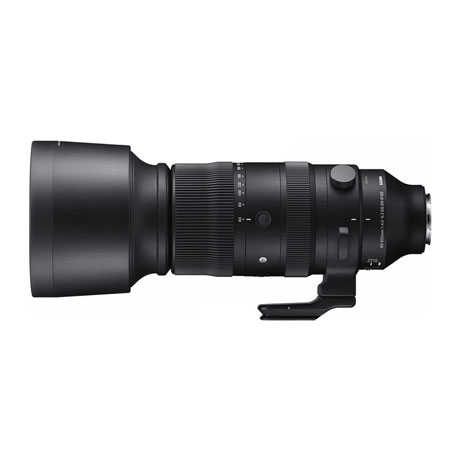 SIGMA 60-600mm F4.5-6.3 DG DN OS | Sports 実写レビュー