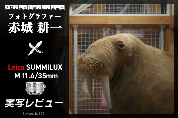 LEICA SUMMILUX M f1.4/35mm レビュー× 赤城耕一｜絞り描写を堪能できる希少ライカズミルックスレンズの復刻版一覧用画像