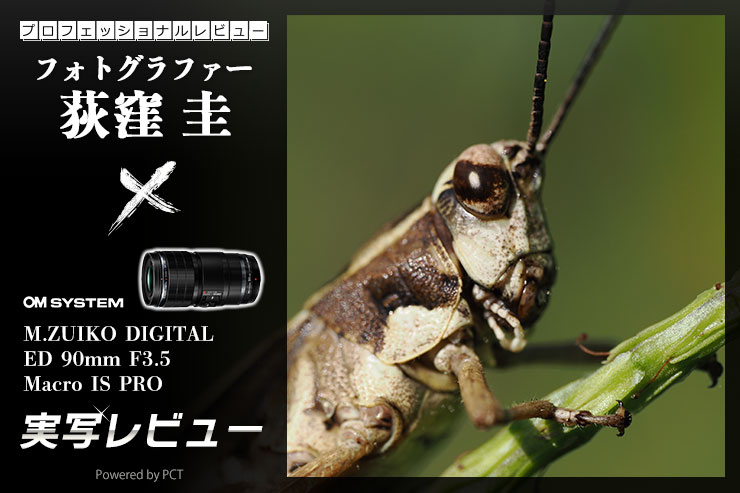 OM SYSTEM M.ZUIKO DIGITAL ED 90mm F3.5 Macro IS PROレビュー × 荻窪 圭｜ネイチャー撮影に最適な高性能望遠マクロレンズ一覧用画像