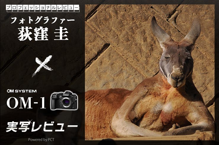OM SYSTEM OM-1 レビュー × 荻窪 圭｜さらに進化したオーエムシステムのオールマイティカメラ一覧用画像