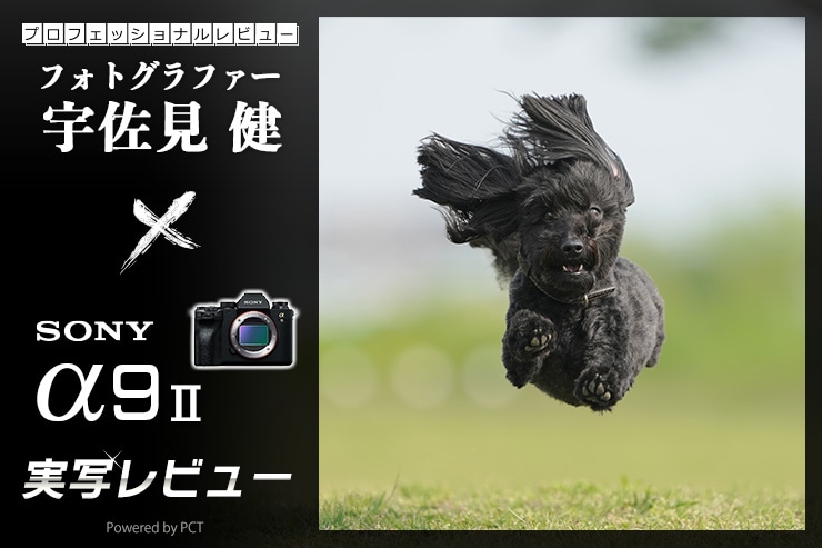 SONY α9 Ⅱ レビュー × 宇佐見 健 | ソニーの元祖爆速機をいまあらためて一覧用画像