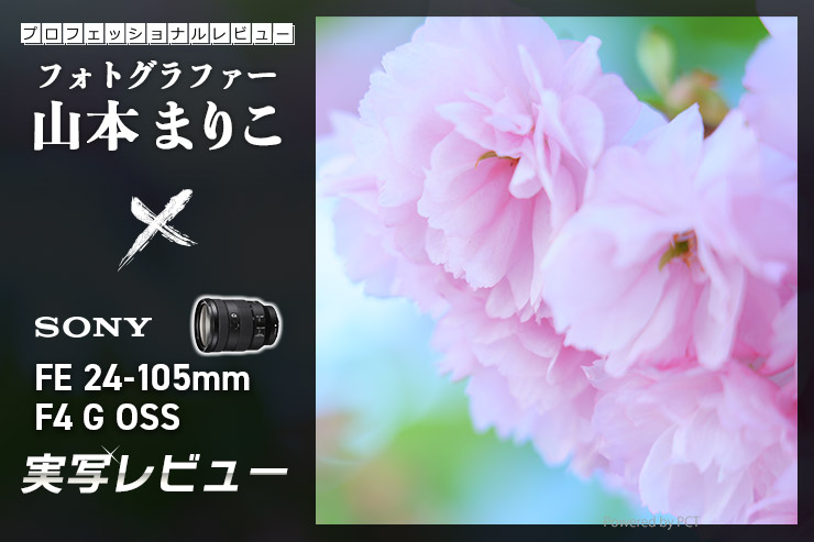 SONY FE 24-105mm F4 G OSS レビュー × 山本まりこ | ズームで悩んだらこの一本でキマリ！一覧用画像