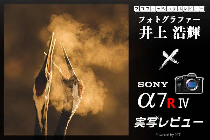 SONY α7R Ⅳ レビュー × 井上浩輝 | 素晴らしい画を生み出すソニーRシリーズ一覧用画像