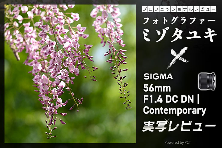 SIGMA 56mm F1.4 DC DN | Contemporary レビュー × ミゾタユキ | ニコンZマウントAPS-C専用の中望遠レンズ一覧用画像
