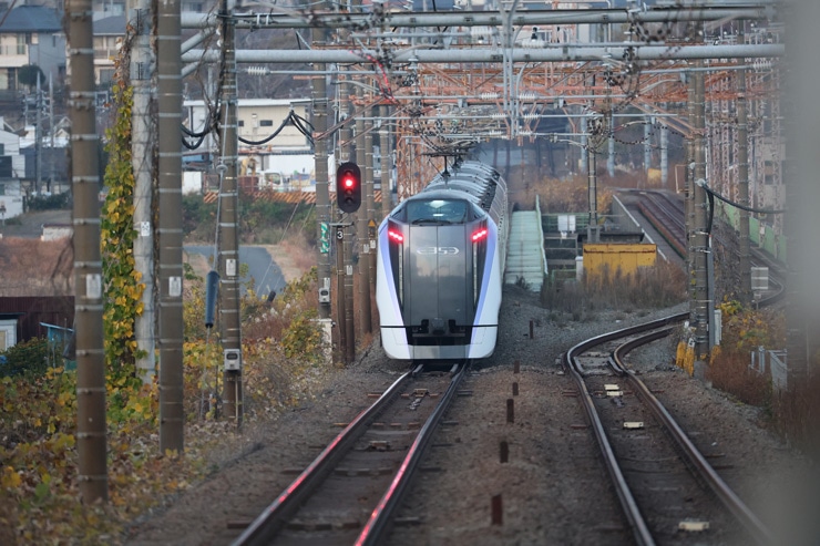 Canon RF200-800mm F6.3-9 実写レビュー一覧用画像