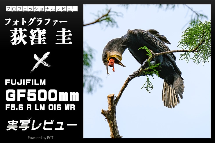 FUJIFILM GF500mm F5.6 R LM OIS WR レビュー × 荻窪 圭｜ラージフォーマットの高画質を活かす高解像望遠レンズ一覧用画像