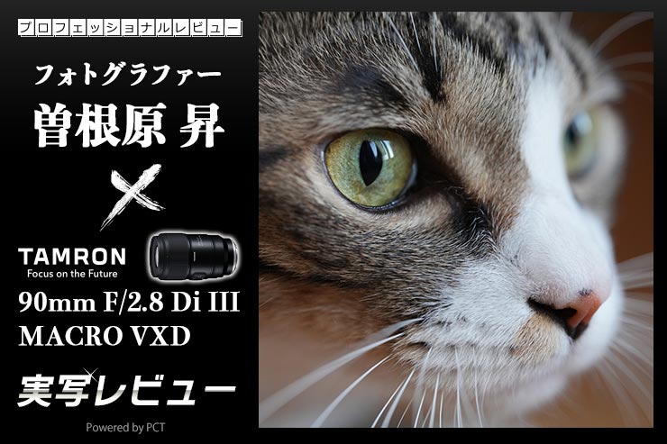 TAMRON 90mm F/2.8 Di III MACRO VXD レビュー × 曽根原 昇｜解像力とボケ味を両立した最新タムキュー一覧用画像