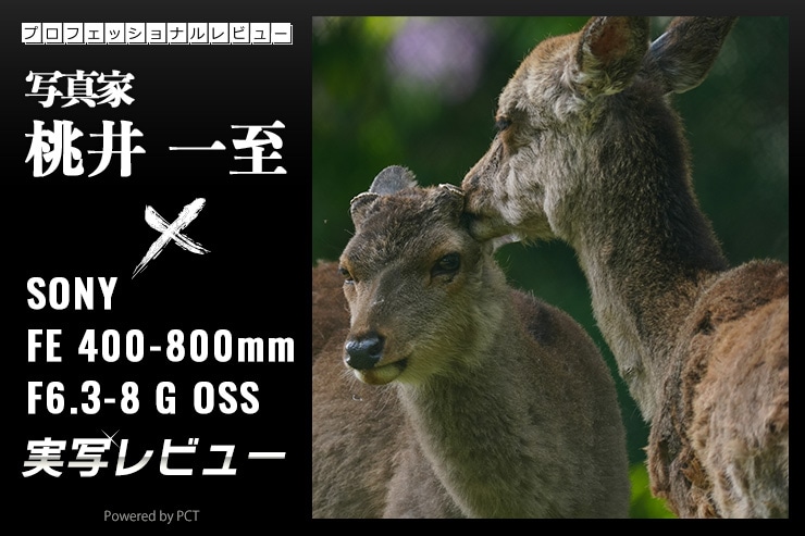 SONY FE 400-800mm F6.3-8 G OSS 実写レビュー×写真家 桃井一至 | 視覚