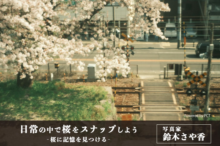 日常の中で桜をスナップしよう × 写真家 鈴木さや香 | 桜に記憶を見つける_一覧用画像