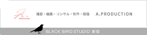 A-production BLACK BIRD STUDIO 新設