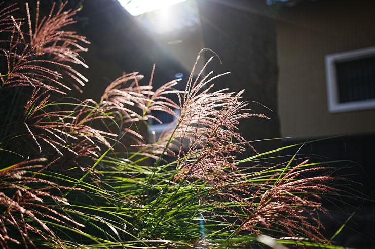 TAMRON（タムロン）20-40mm F/2.8 Di III VXD (Model A062) フレア/ゴースト作例