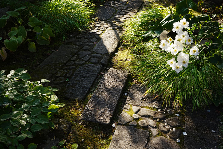 TAMRON（タムロン）20-40mm F/2.8 Di III VXD (Model A062) 作例4