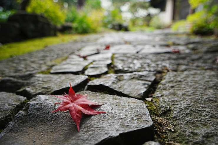 TAMRON（タムロン）20-40mm F/2.8 Di III VXD (Model A062) 作例5